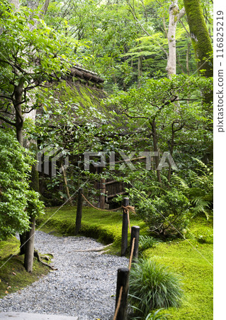 京都/奧佐賀只王寺（夏季） 116825219