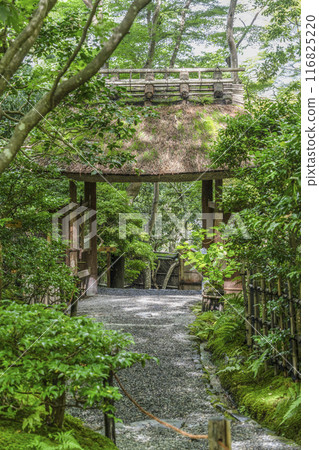 京都/奧佐賀只王寺（夏季） 116825220