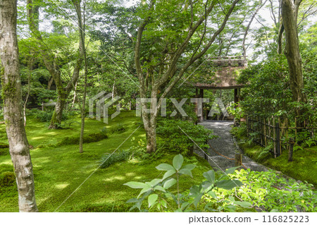 京都/奧佐賀只王寺（夏季） 116825223