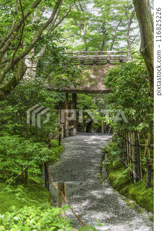 京都/奧佐賀只王寺（夏季） 116825226