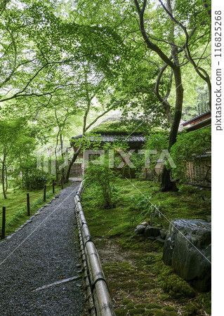 京都/奧佐賀只王寺（夏季） 116825268