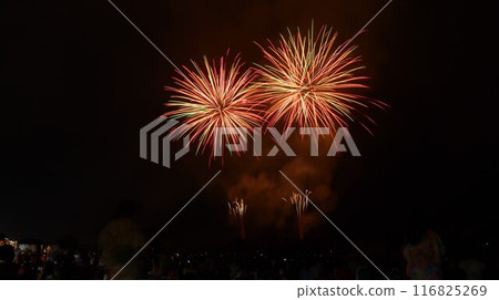 安倍川煙火240720pm8:47 安倍川煙火240720pm8:47 116825269