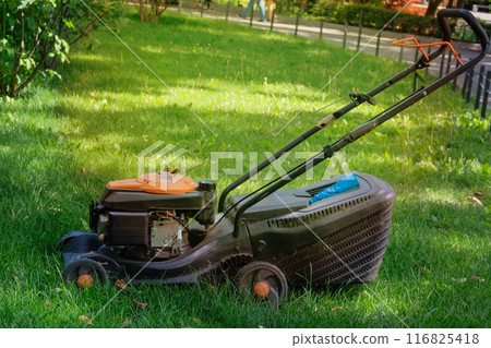 Lawn-mower in a city park. Using electric tools for cutting lawns in summer. Cutting lawns in summer. Sunny. 116825418