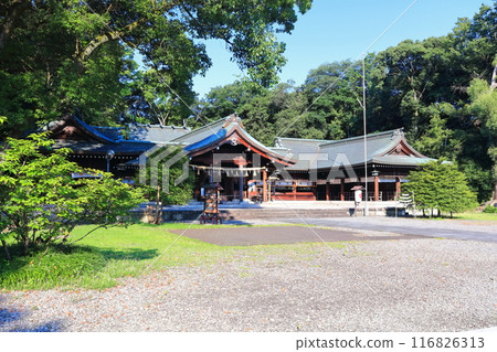 [Kagawa Prefecture] Kagawa Prefectural Gokoku Shrine (Kagawa Prefectural Gokoku Shrine) Sanuki Shrine and Haiden 116826313