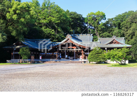 [Kagawa Prefecture] Kagawa Prefectural Gokoku Shrine (Kagawa Prefectural Gokoku Shrine) Sanuki Shrine and Haiden 116826317