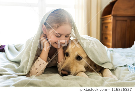 Joyful Little Girl Playing With Golden Retriever Dog, Covered By Blanket 116826527