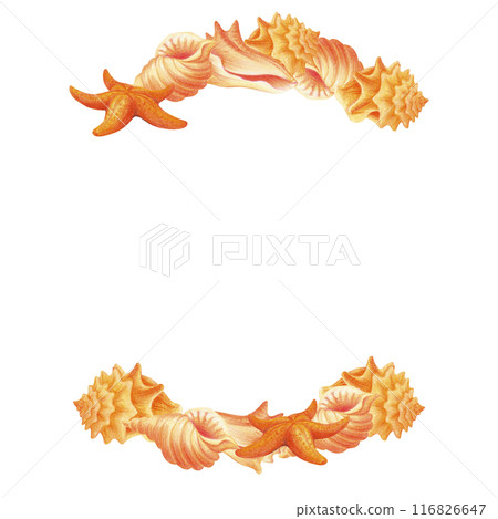 Semicircular frame or border with sea shells isolated on white background. Underwater life. Watercolor Tropical composition for beach accessories design, prints, travel banners decoration, postcards Semicircular frame or border with sea shells isolated on white background. Underwater life. Watercolor Tropical composition for beach accessories design, prints, travel banners decoration, postcards 116826647
