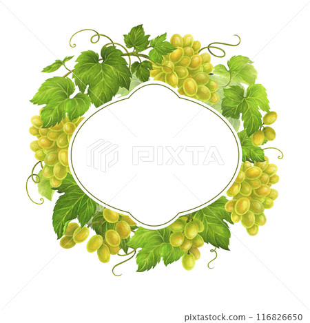 Isolated watercolor wreath of grapes, leaves and tendrils with frame for text for wedding invitation or greeting card design, vineyard celebration decor, menus, labels for wine and wine vinegar Isolated watercolor wreath of grapes, leaves and tendrils with frame for text for wedding invitation or greeting card design, vineyard celebration decor, menus, labels for wine and wine vinegar 116826650