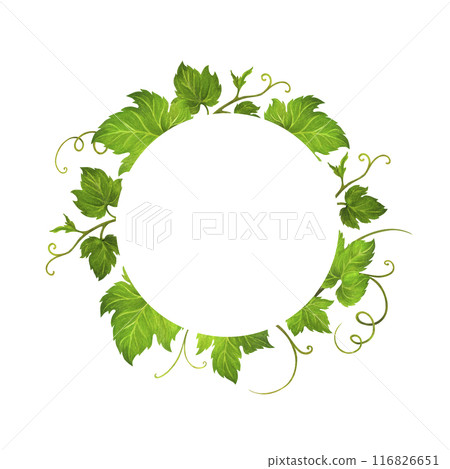 Isolated Watercolor wreath of grape leaves and tendrils with text frame for wedding invitation or greeting card design, vineyard celebration decor, menus, labels for wine and wine vinegar 116826651