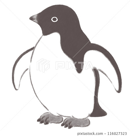 Adelie penguin looking to the side, ink painting style 116827323