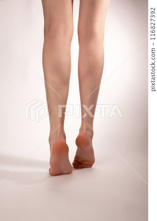 slender long female legs on a white background slender long female legs on a white background 116827392