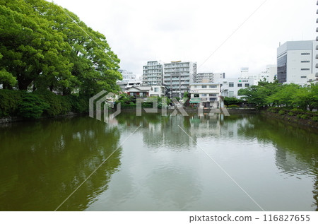 Odawara Castle Pond 116827655