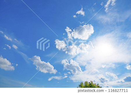 Summer clouds, trees and sun Summer clouds, trees and sun 116827711