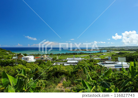Summer in Okinawa: Scenery of Nanjo City, with Ojima Island in the distance 116827743
