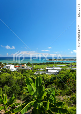 沖繩南城夏季風景,遠眺奧羽島 沖繩南城夏季風景,遠眺奧羽島 116827744