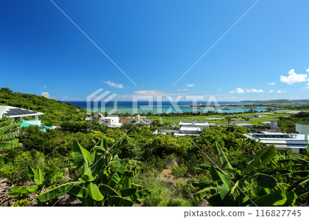 Summer in Okinawa: Scenery of Nanjo City, with Ojima Island in the distance 116827745