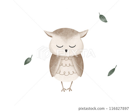 Cartoon animal for kids design . Hand drawn illustration of cute owl and green leaf on isolated background. Minimalist scandinavian style. Wild forest bird with close eyes. 116827897