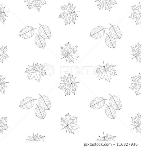 Maple Leaf Pattern Coloring Page Maple Leaf Pattern Coloring Page 116827936