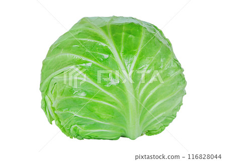Young green cabbage isolated on white. Healthy food, cabbage vegetable. 116828044