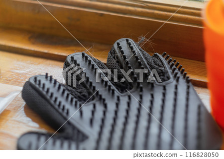 A black spiked glove for combing shedding hair from pets lies on a wooden windowsill by the window with hairs of hair. Accessories to keep your pets clean 116828050