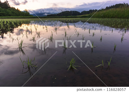 240611 Ueno-daira z016 240611 Ueno-daira z016 116828057