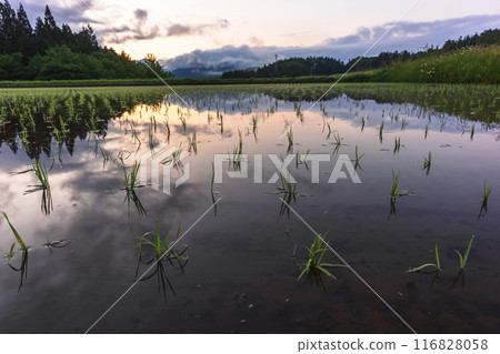 240611Uenodairaz019 116828058