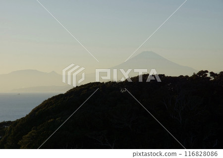 Spring scenery of Enoshima Kanagawa Prefecture Tourism 116828086
