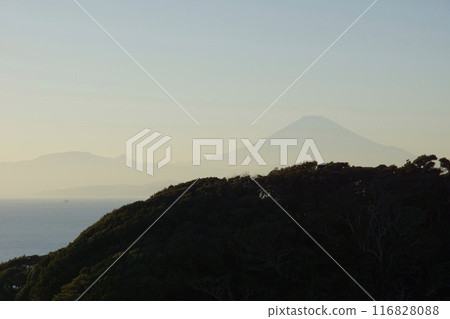 江之島的春天風景 神奈川縣旅遊局 116828088