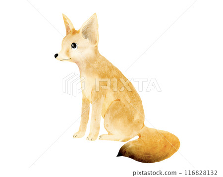 A cute fennec fox illustration material in watercolor style 116828132