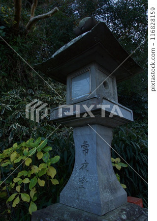江之島的春天風景 神奈川縣旅遊局 116828159