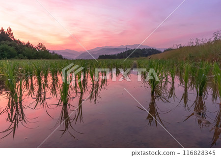 240612 Uenoharaz006 240612 Uenoharaz006 116828345