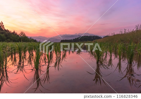 240612 Ueno-daira z017 240612 Ueno-daira z017 116828346
