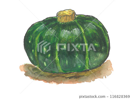 南瓜水彩圖片 116828369