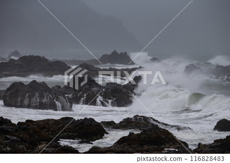 The raging sea 116828483