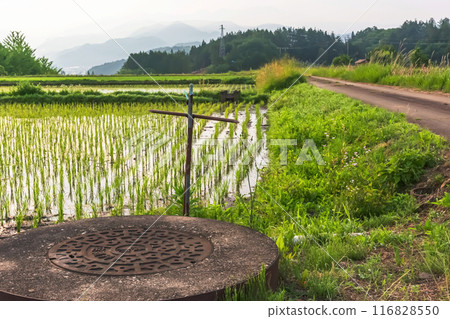 240613上諾代拉茲083 116828550