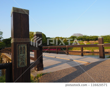 Hakodate - Goryokaku and surrounding scenery 116828571