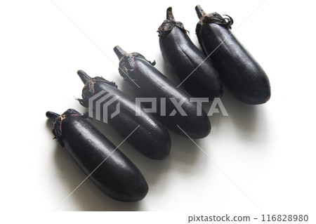 eggplant  116828980