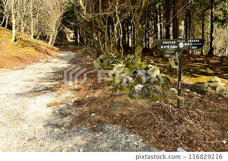 丹澤大室山、犬越路南路線起點、橫澤出愛 116829216