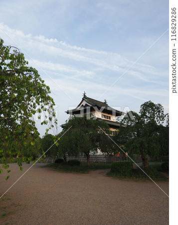 弘前城和岩木山 116829286