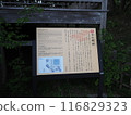 Hirosaki Castle and Mount Iwaki 116829323
