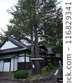 Hirosaki Castle and Mount Iwaki 116829341