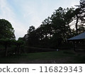 Hirosaki Castle and Mount Iwaki 116829343