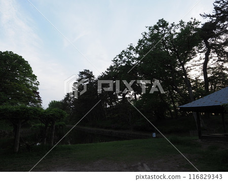Hirosaki Castle and Mount Iwaki 116829343