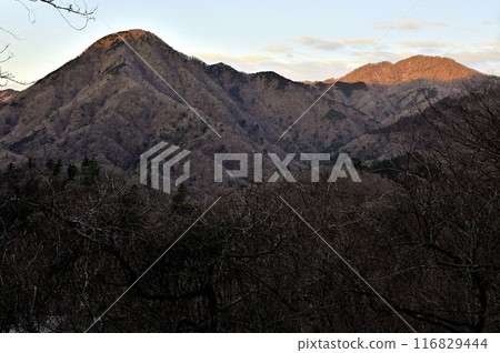 From Hinokiboramaru in Tanzawa: Morning greets Mount Hokizawa Gongen and the peak of Akegamaru dyed in the morning glow From Hinokiboramaru in Tanzawa: Morning greets Mount Hokizawa Gongen and the peak of Akegamaru dyed in the morning glow 116829444