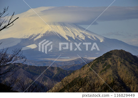 從丹澤檜木堂丸杜鵑新道展望公園看到的冬日早晨的富士山 從丹澤檜木堂丸杜鵑新道展望公園看到的冬日早晨的富士山 116829449