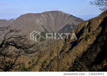 From Hinokihoramaru in Tanzawa: Mount Omuro, one of the 100 famous mountains of Yamanashi, bathed in the morning sun From Hinokihoramaru in Tanzawa: Mount Omuro, one of the 100 famous mountains of Yamanashi, bathed in the morning sun 116829451