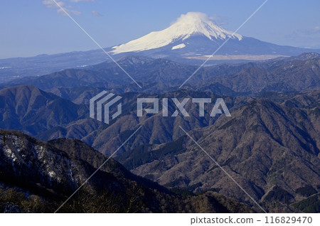 View from Hinokiboramaru in the Tanzawa Mountains: Mount Fuji and the Nishi-Tanzawa mountain range 116829470