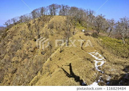 Snow-covered Tanzawa ridge: View of Okogai from Kumasanamine peak 116829484