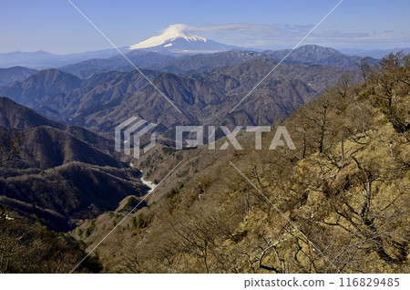 丹澤：從熊笠峰八田嶺交會處看到隆冬時的富士山和西丹澤 116829485