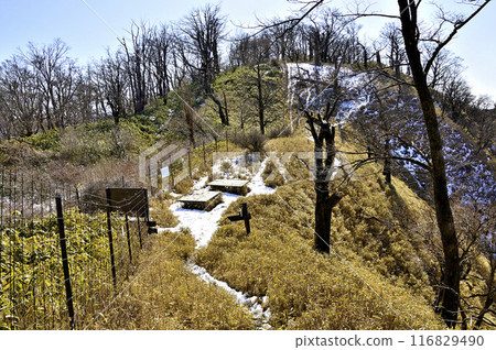 沿著丹澤主山脊的橫貫路線，與白雪皚皚的八田山脊相遇 116829490